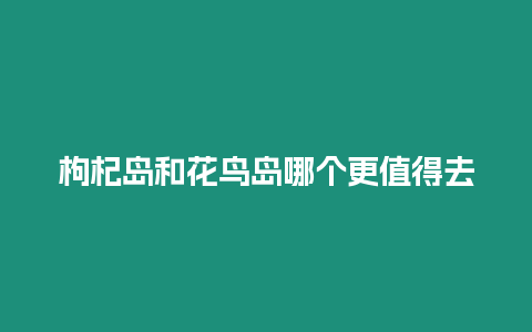 枸杞島和花鳥島哪個更值得去