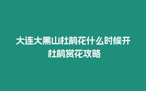 大連大黑山杜鵑花什么時候開 杜鵑賞花攻略