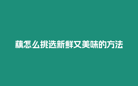 藕怎么挑選新鮮又美味的方法