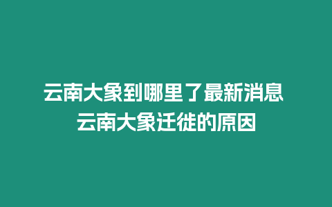 云南大象到哪里了最新消息 云南大象遷徙的原因