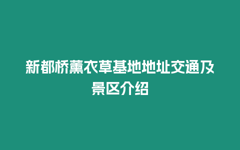 新都橋薰衣草基地地址交通及景區介紹