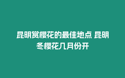 昆明賞櫻花的最佳地點 昆明冬櫻花幾月份開