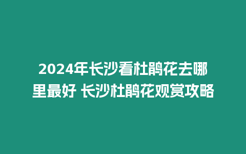 2024年長沙看杜鵑花去哪里最好 長沙杜鵑花觀賞攻略