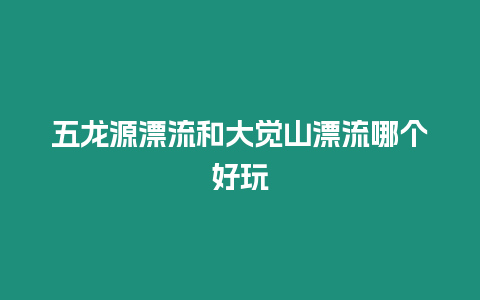 五龍源漂流和大覺山漂流哪個好玩