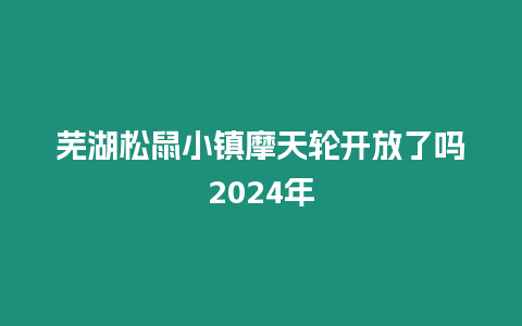 蕪湖松鼠小鎮摩天輪開放了嗎2024年