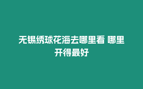 無錫繡球花海去哪里看 哪里開得最好