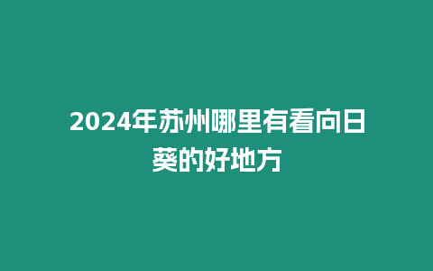 2024年蘇州哪里有看向日葵的好地方