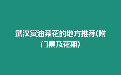 武漢賞油菜花的地方推薦(附門票及花期)