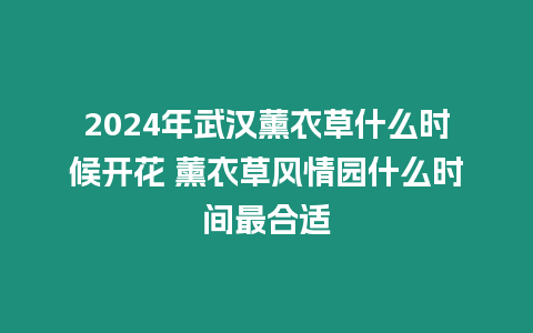 2024年武漢薰衣草什么時候開花 薰衣草風情園什么時間最合適