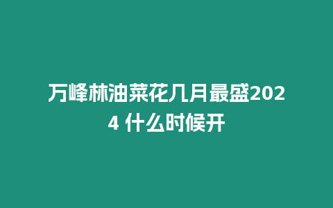 萬峰林油菜花幾月最盛2024 什么時候開