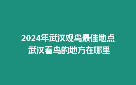 2024年武漢觀鳥最佳地點(diǎn) 武漢看鳥的地方在哪里