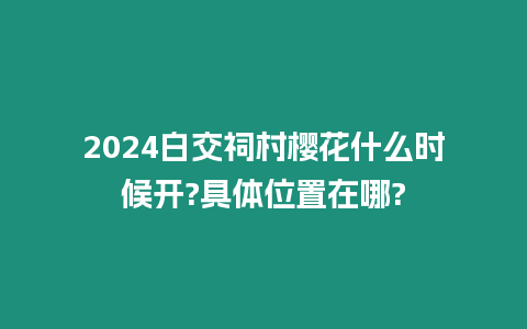 2024白交祠村櫻花什么時候開?具體位置在哪?