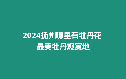 2024揚州哪里有牡丹花 最美牡丹觀賞地