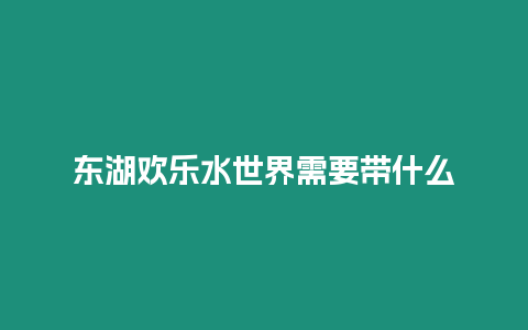 東湖歡樂水世界需要帶什么