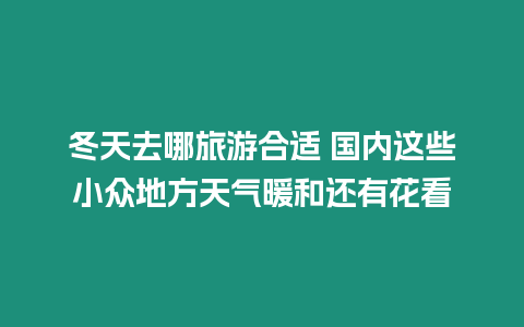 冬天去哪旅游合適 國內這些小眾地方天氣暖和還有花看