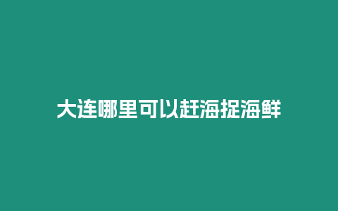 大連哪里可以趕海捉海鮮