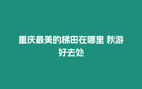 重慶最美的梯田在哪里 秋游好去處