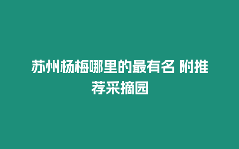 蘇州楊梅哪里的最有名 附推薦采摘園