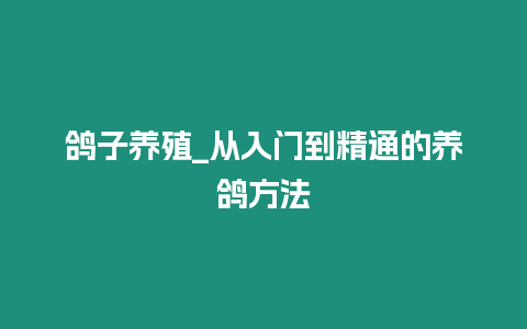 鴿子養殖_從入門到精通的養鴿方法