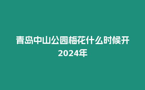 青島中山公園梅花什么時候開2024年