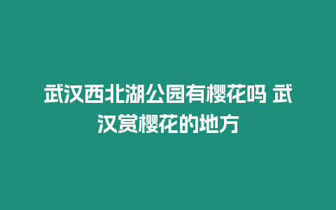 武漢西北湖公園有櫻花嗎 武漢賞櫻花的地方