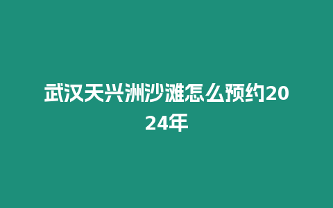 武漢天興洲沙灘怎么預約2024年