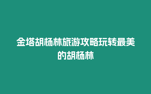 金塔胡楊林旅游攻略玩轉最美的胡楊林