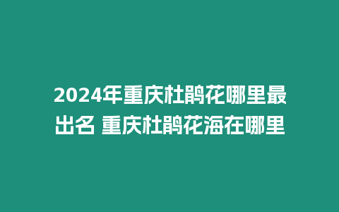 2024年重慶杜鵑花哪里最出名 重慶杜鵑花海在哪里