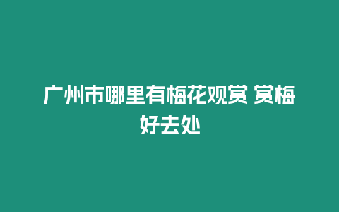 廣州市哪里有梅花觀賞 賞梅好去處