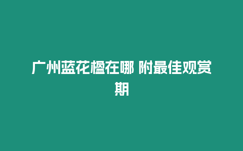 廣州藍花楹在哪 附最佳觀賞期