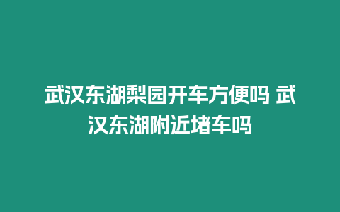 武漢東湖梨園開車方便嗎 武漢東湖附近堵車嗎