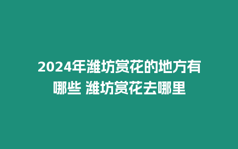 2024年濰坊賞花的地方有哪些 濰坊賞花去哪里