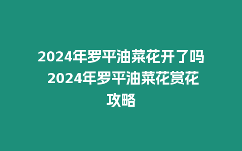 2024年羅平油菜花開了嗎 2024年羅平油菜花賞花攻略