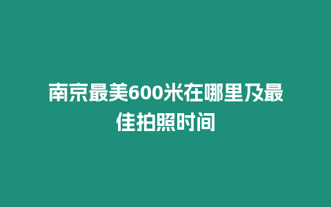 南京最美600米在哪里及最佳拍照時間