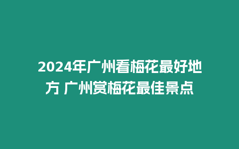 2024年廣州看梅花最好地方 廣州賞梅花最佳景點