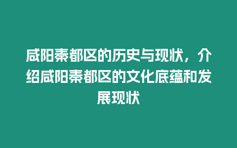 咸陽秦都區的歷史與現狀，介紹咸陽秦都區的文化底蘊和發展現狀