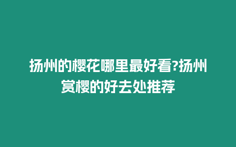 揚州的櫻花哪里最好看?揚州賞櫻的好去處推薦