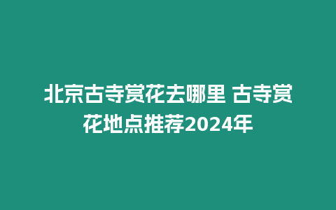 北京古寺賞花去哪里 古寺賞花地點推薦2024年