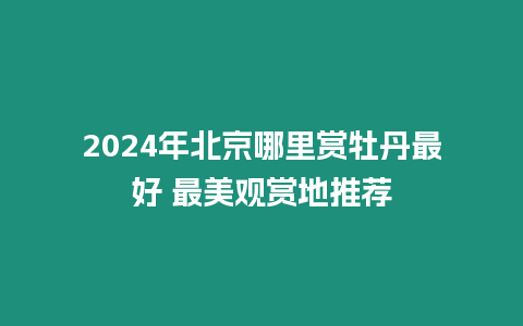 2024年北京哪里賞牡丹最好 最美觀賞地推薦