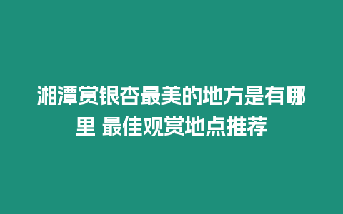 湘潭賞銀杏最美的地方是有哪里 最佳觀賞地點推薦