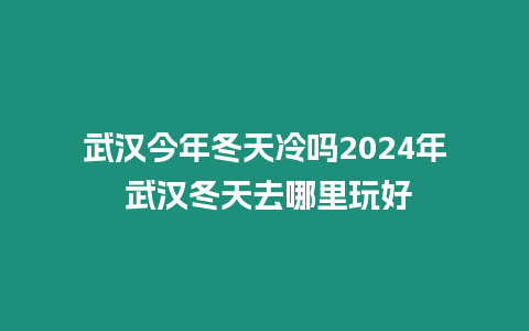 武漢今年冬天冷嗎2024年 武漢冬天去哪里玩好