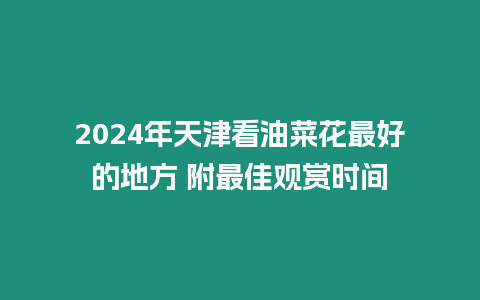 2024年天津看油菜花最好的地方 附最佳觀賞時間