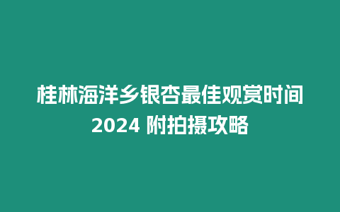 桂林海洋鄉(xiāng)銀杏最佳觀賞時(shí)間2024 附拍攝攻略