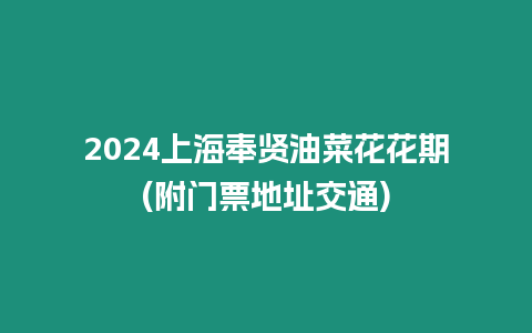 2024上海奉賢油菜花花期(附門票地址交通)