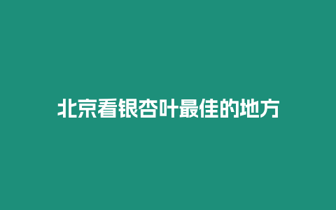 北京看銀杏葉最佳的地方