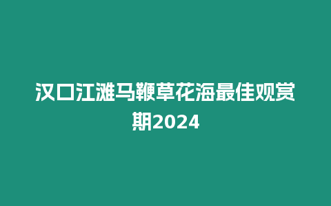 漢口江灘馬鞭草花海最佳觀賞期2024