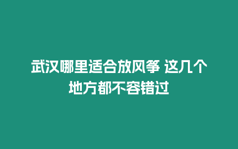 武漢哪里適合放風箏 這幾個地方都不容錯過