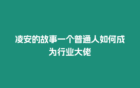 凌安的故事一個普通人如何成為行業大佬