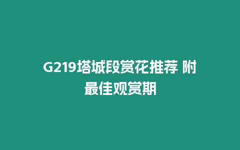 G219塔城段賞花推薦 附最佳觀賞期