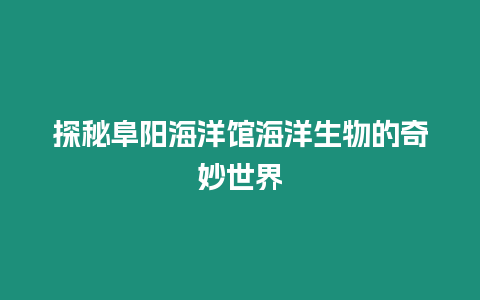 探秘阜陽海洋館海洋生物的奇妙世界